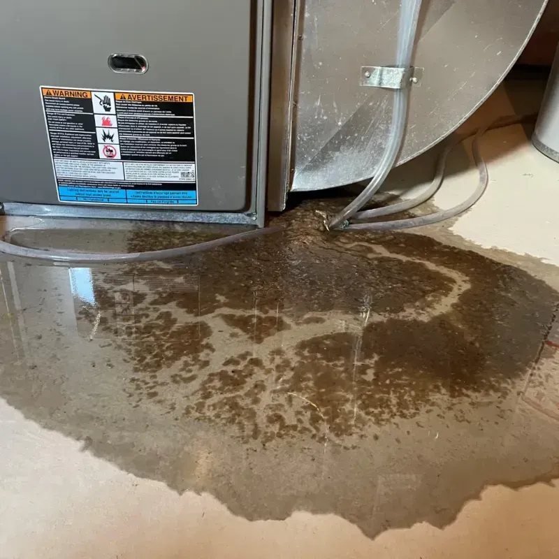 Appliance Leak Cleanup in Stephenson County, IL